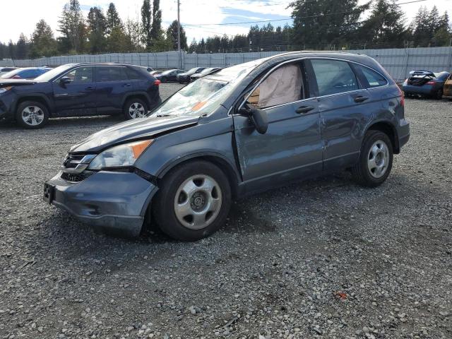 Vin: 5j6re4h30al094907, lot: 73421864, honda crv lx 2010 img_1