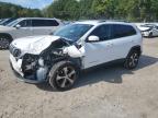 2019 JEEP CHEROKEE L - 1C4PJMDX9KD445617
