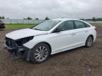 2015 HYUNDAI SONATA SPO - 5NPE34AF7FH228404