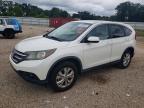 HONDA CR-V EX photo