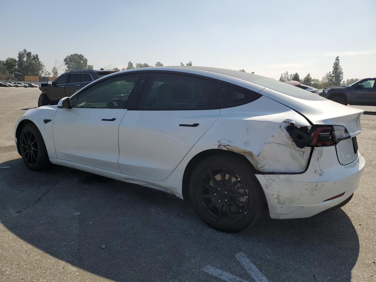 Lot #3037224488 2021 TESLA MODEL 3