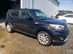 KIA SOUL + photo