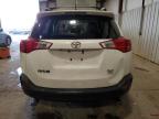 TOYOTA RAV4 XLE photo