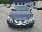 LEXUS ES 350 photo