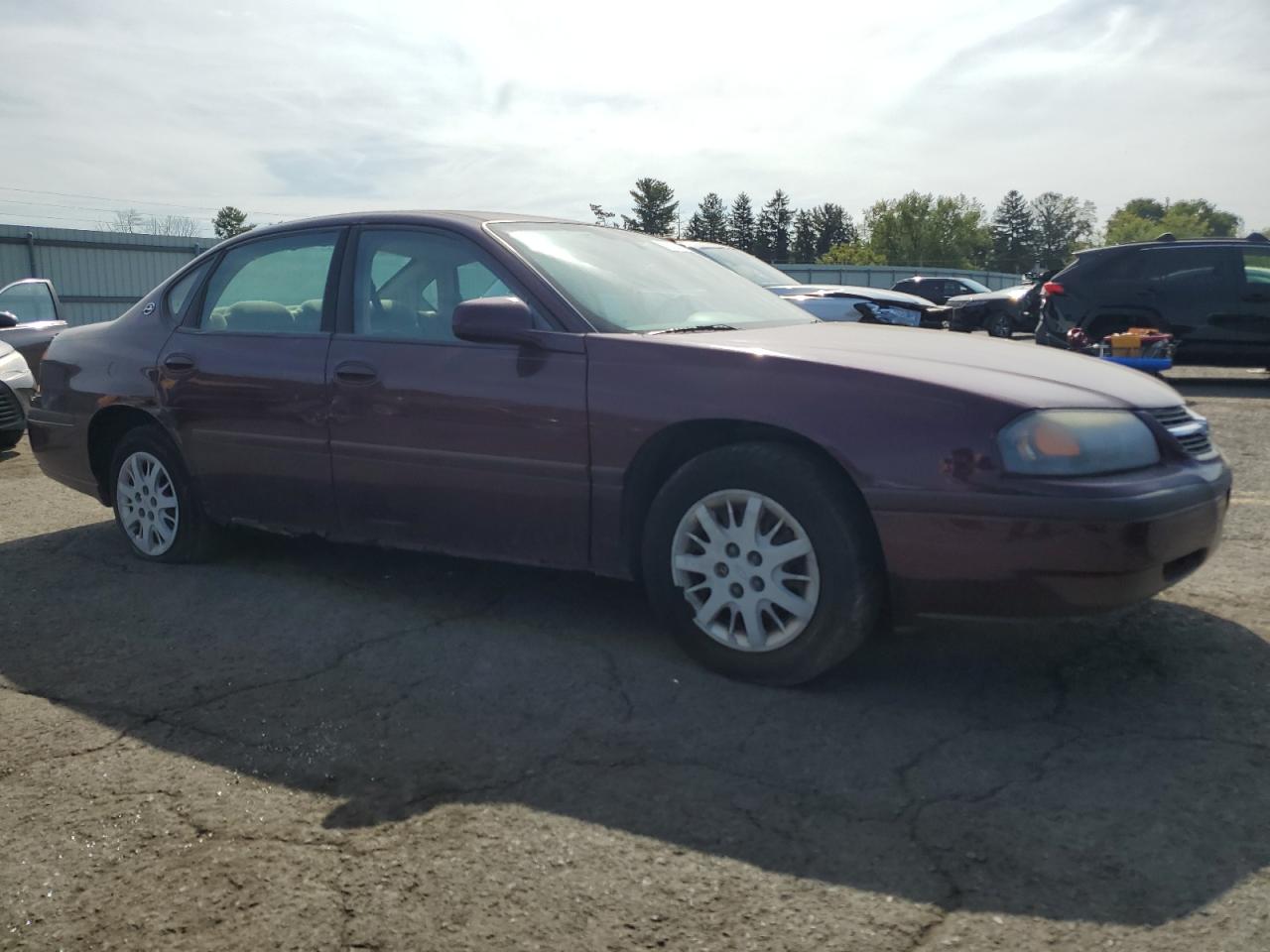 Lot #2845121981 2004 CHEVROLET IMPALA