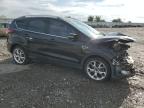 Lot #3024737229 2014 FORD ESCAPE TIT