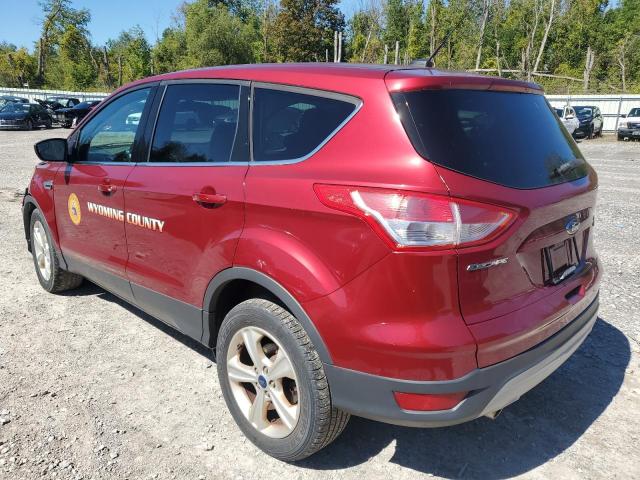 VIN 1FMCU9GX8EUD44941 2014 Ford Escape, SE no.2