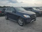 MERCEDES-BENZ ML 350 4MA photo