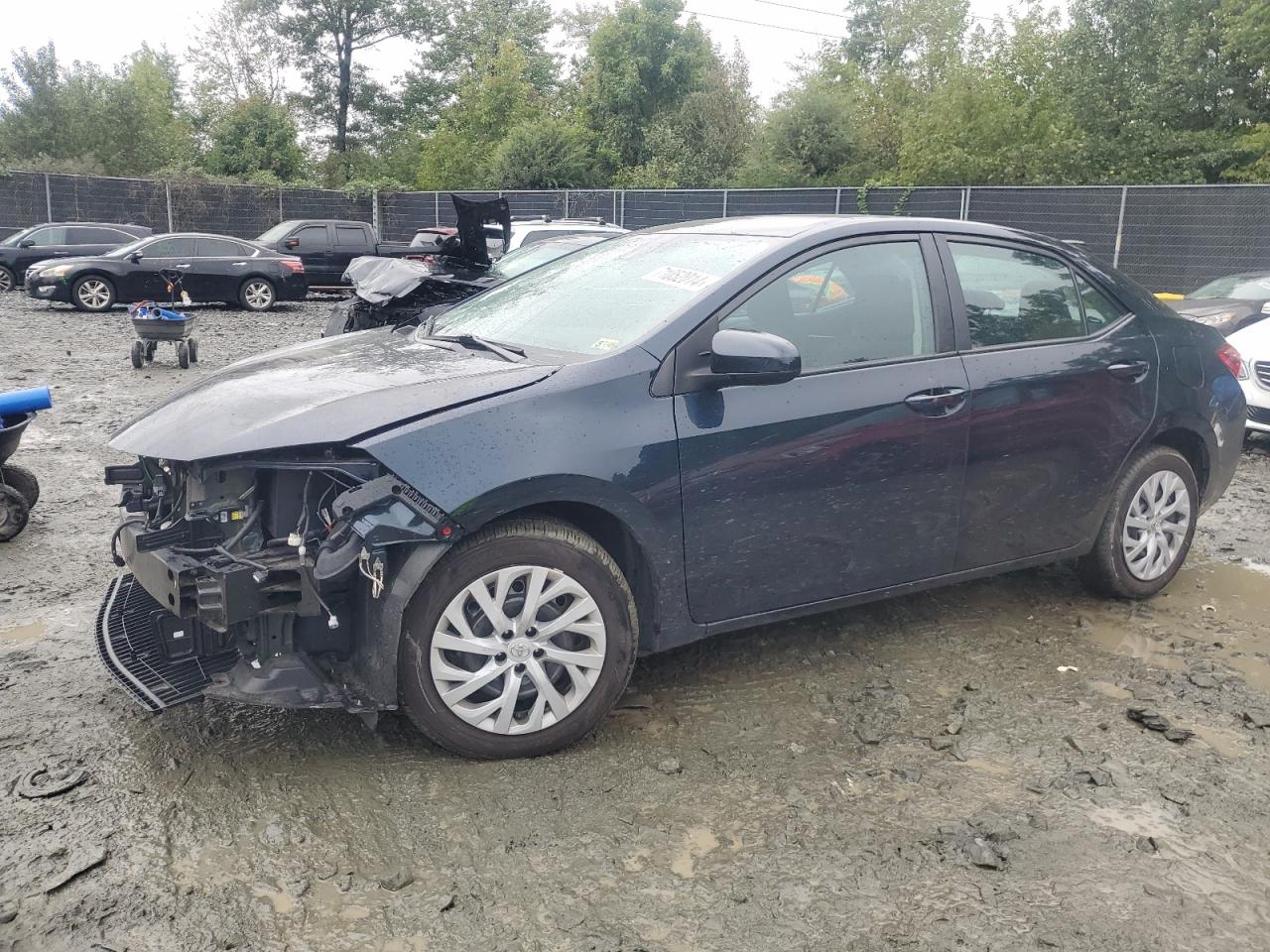 2T1BURHE6KC163441 TOYOTA 1/2 TON LO 2019