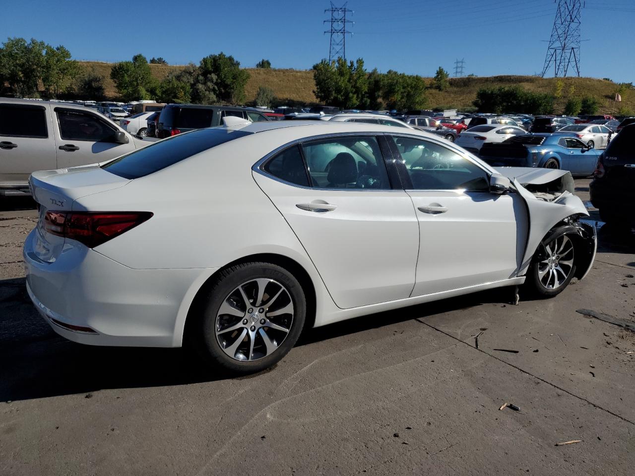 Lot #3024719691 2015 ACURA TLX TECH