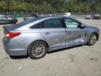 HYUNDAI SONATA SPO photo