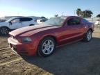 FORD MUSTANG photo