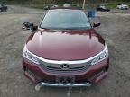 HONDA ACCORD SPO photo