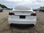 Lot #3023898244 2021 TESLA MODEL Y