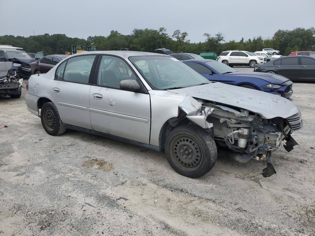 Lot #3050621096 2002 CHEVROLET MALIBU