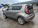 KIA SOUL + photo