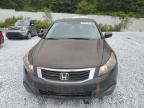 HONDA ACCORD LX photo