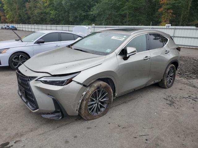 LEXUS NX 350 2023 gray  gas 2T2GGCEZ6PC018050 photo #1