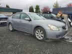 NISSAN MAXIMA SE photo