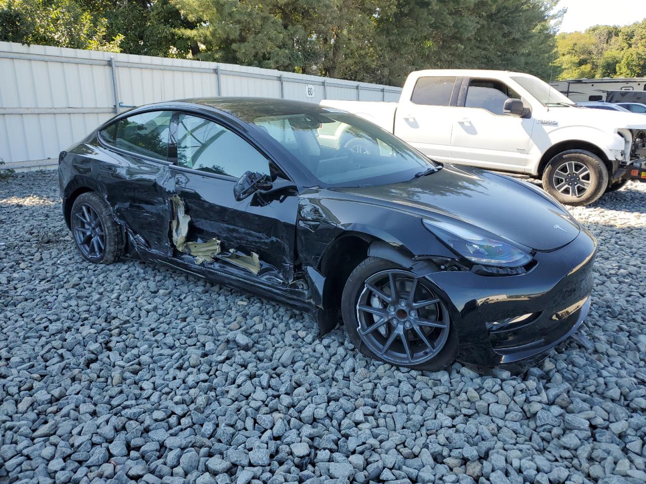 Lot #2961783959 2023 TESLA MODEL 3