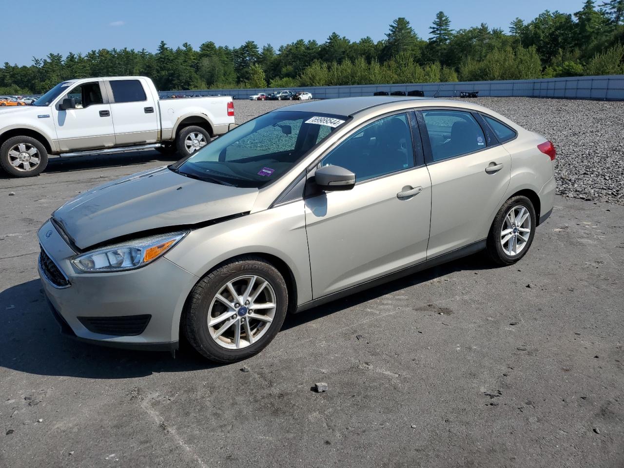 Lot #2828720589 2015 FORD FOCUS SE