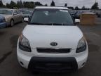 KIA SOUL + photo