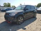 KIA SOUL + photo