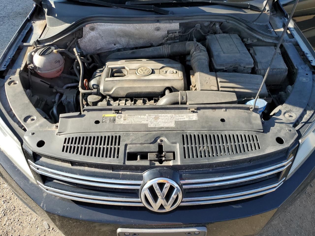 Lot #2836255601 2013 VOLKSWAGEN TIGUAN S