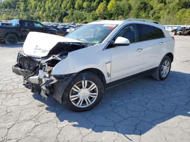 Vin: 3gyfnee38es647770, lot: 70173594, cadillac srx luxury collection 2014 img_1