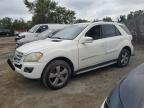 MERCEDES-BENZ ML 350 4MA photo