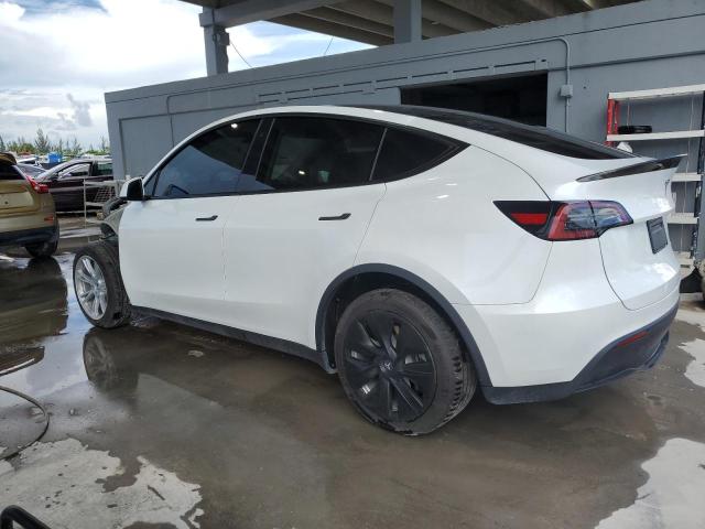 2023 TESLA MODEL Y - 7SAYGDEE2PA053806