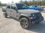 Lot #3024837433 2020 JEEP GLADIATOR