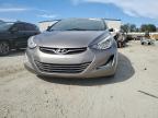 HYUNDAI ELANTRA SE photo