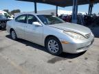 LEXUS ES 300 photo