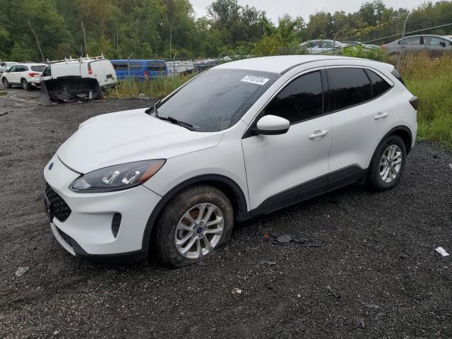 2020 FORD ESCAPE SE #2940611920