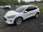 Lot #2940611920 2020 FORD ESCAPE SE