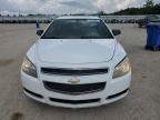 CHEVROLET MALIBU LS photo