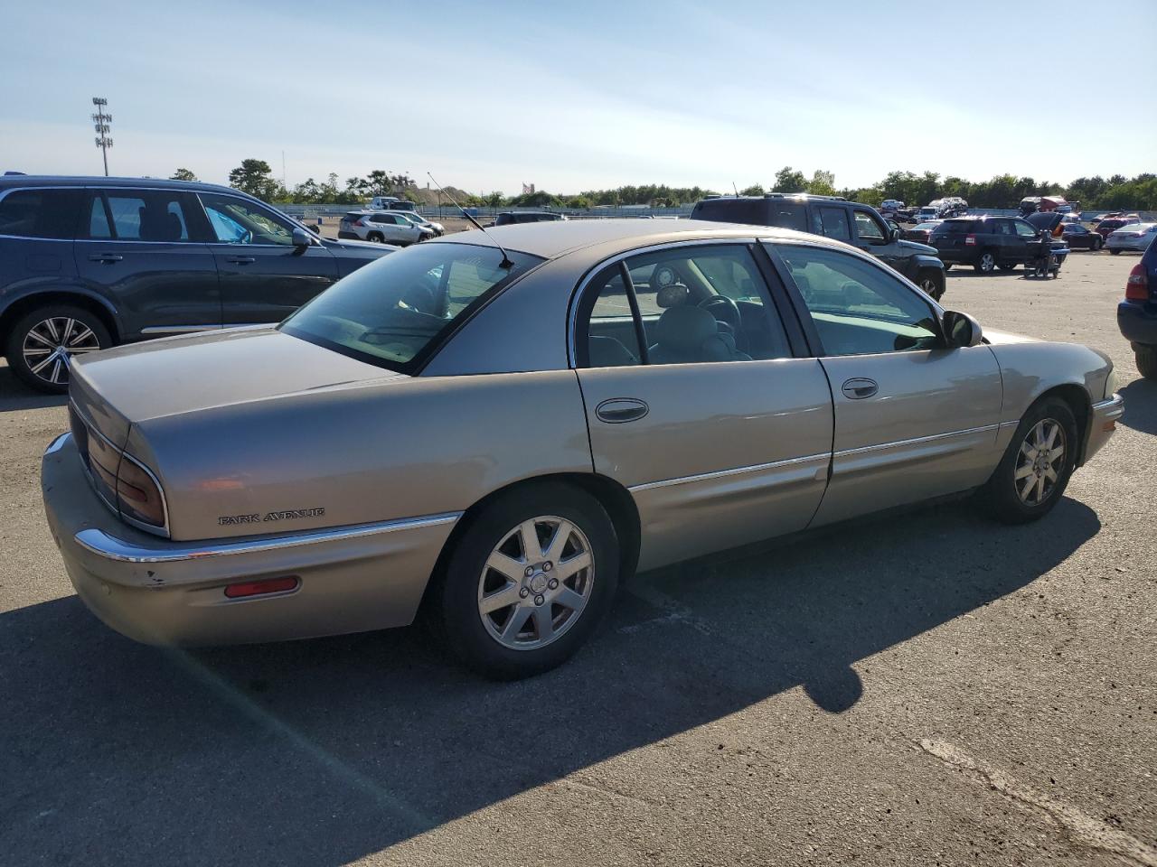 Lot #2955246613 2004 BUICK PARK AVENU