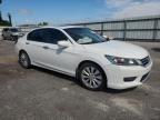 Lot #3024184798 2013 HONDA ACCORD EXL