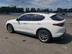 ALFA ROMEO STELVIO TI снимка