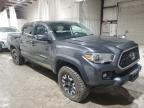 TOYOTA TACOMA DOU photo