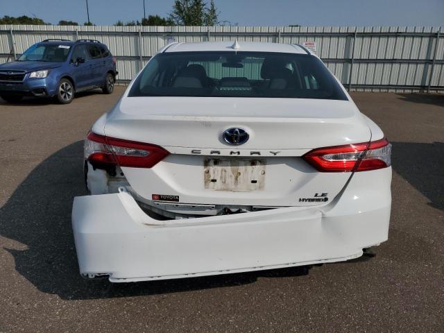 2019 TOYOTA CAMRY LE - 4T1B31HK5KU005388