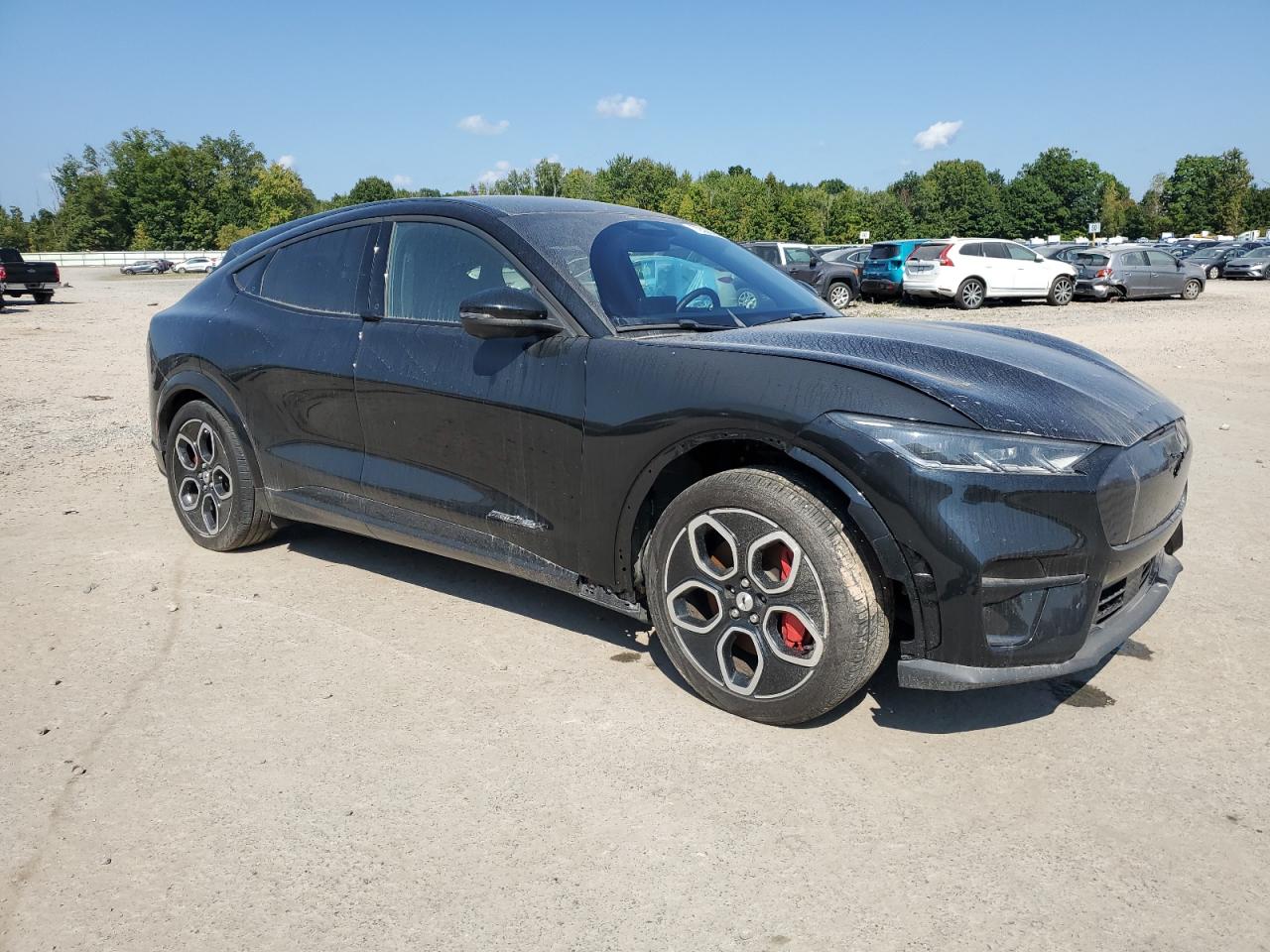 Lot #2855035912 2022 FORD MUSTANG MA