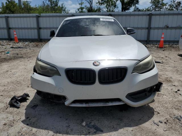 VIN WBA1F5C54EV255457 2014 BMW 2 SERIES no.5