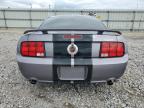 FORD MUSTANG GT photo