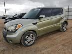 KIA SOUL + photo