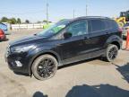 2019 FORD ESCAPE SE - 1FMCU9GD7KUB63492