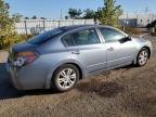 NISSAN ALTIMA BAS photo