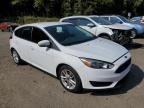 FORD FOCUS SE photo