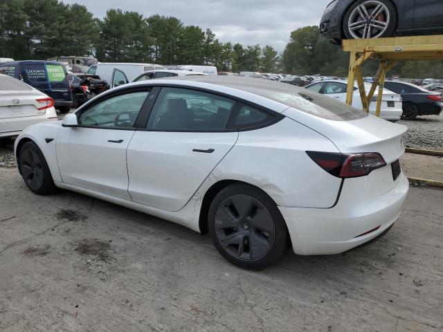 VIN 5YJ3E1EAXPF426344 2023 Tesla MODEL 3 no.2